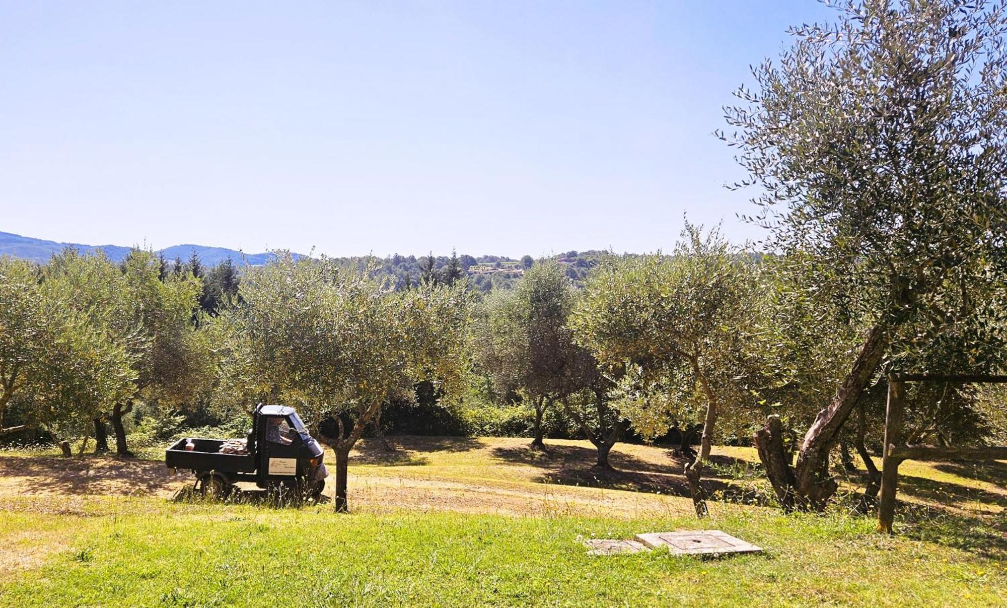 Pian Della Bandina Apartment Città della Pieve Екстериор снимка